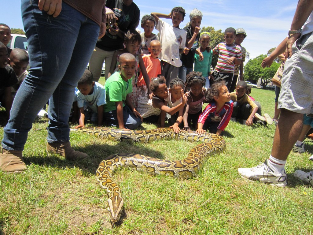Learn more about snakes at the Imhoff Snake Park