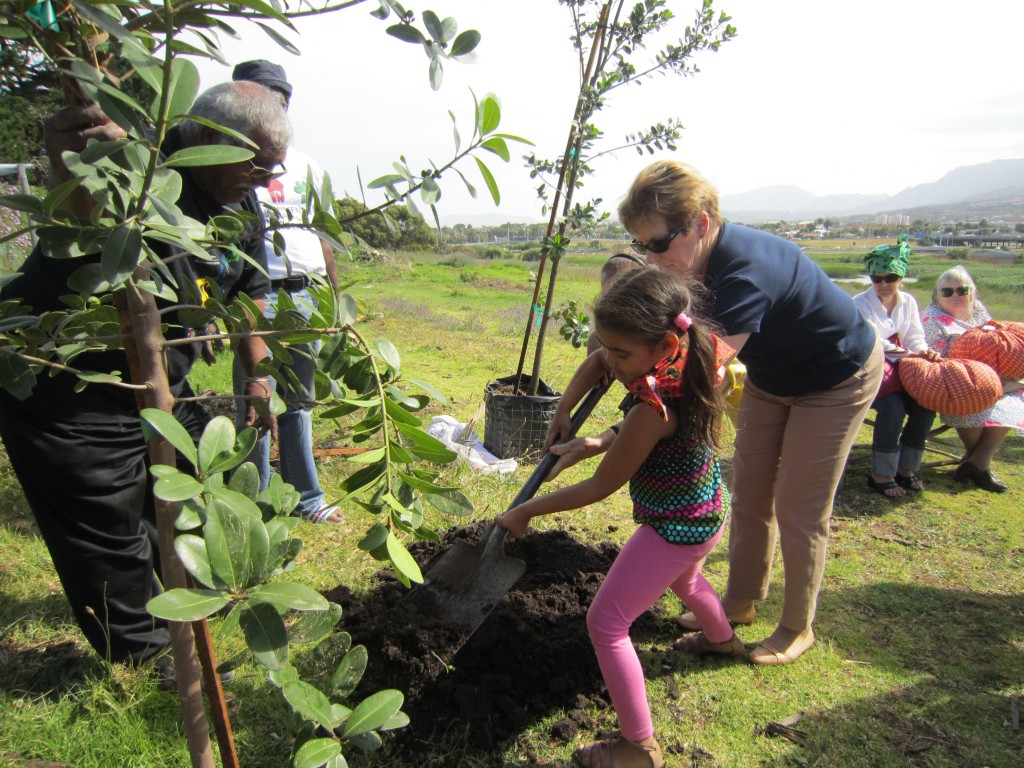 Team effort tree planting